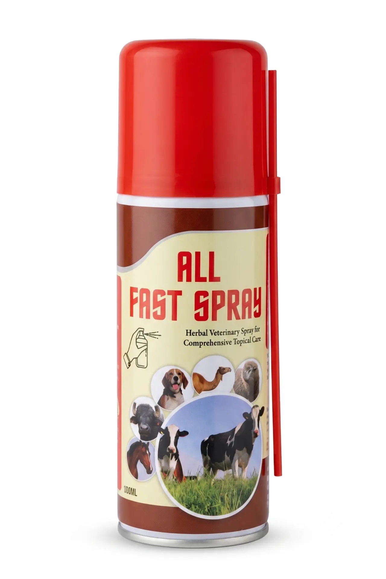 ALL FAST SPRAY product packaging